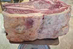 IMG-20230203-WA0004